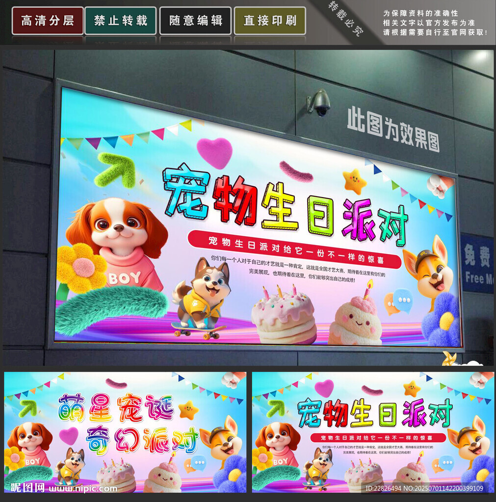 宠物派对