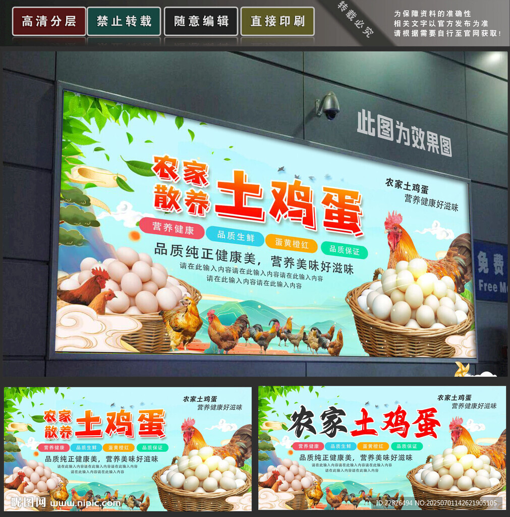 土鸡蛋