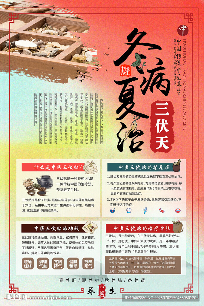 冬病夏治三伏贴宣传中医养生海报