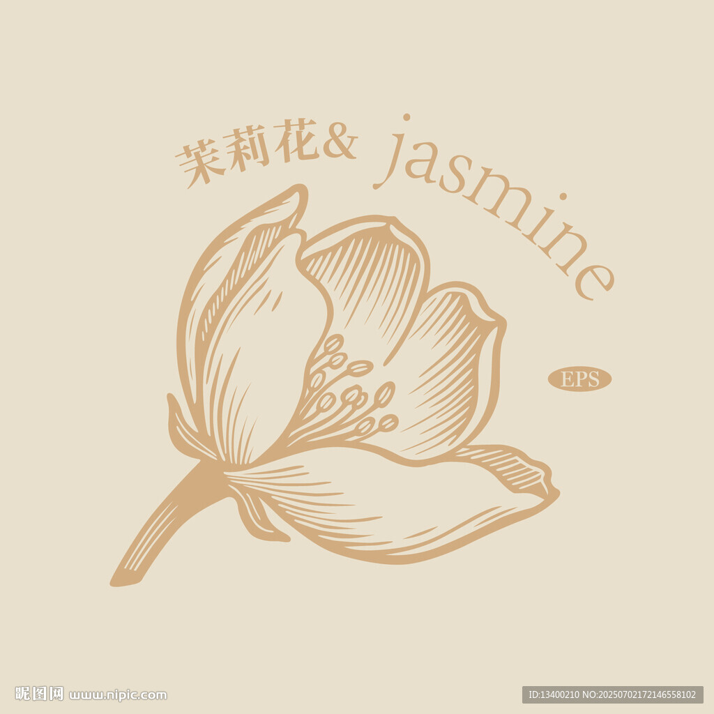 手绘茉莉花图案设计