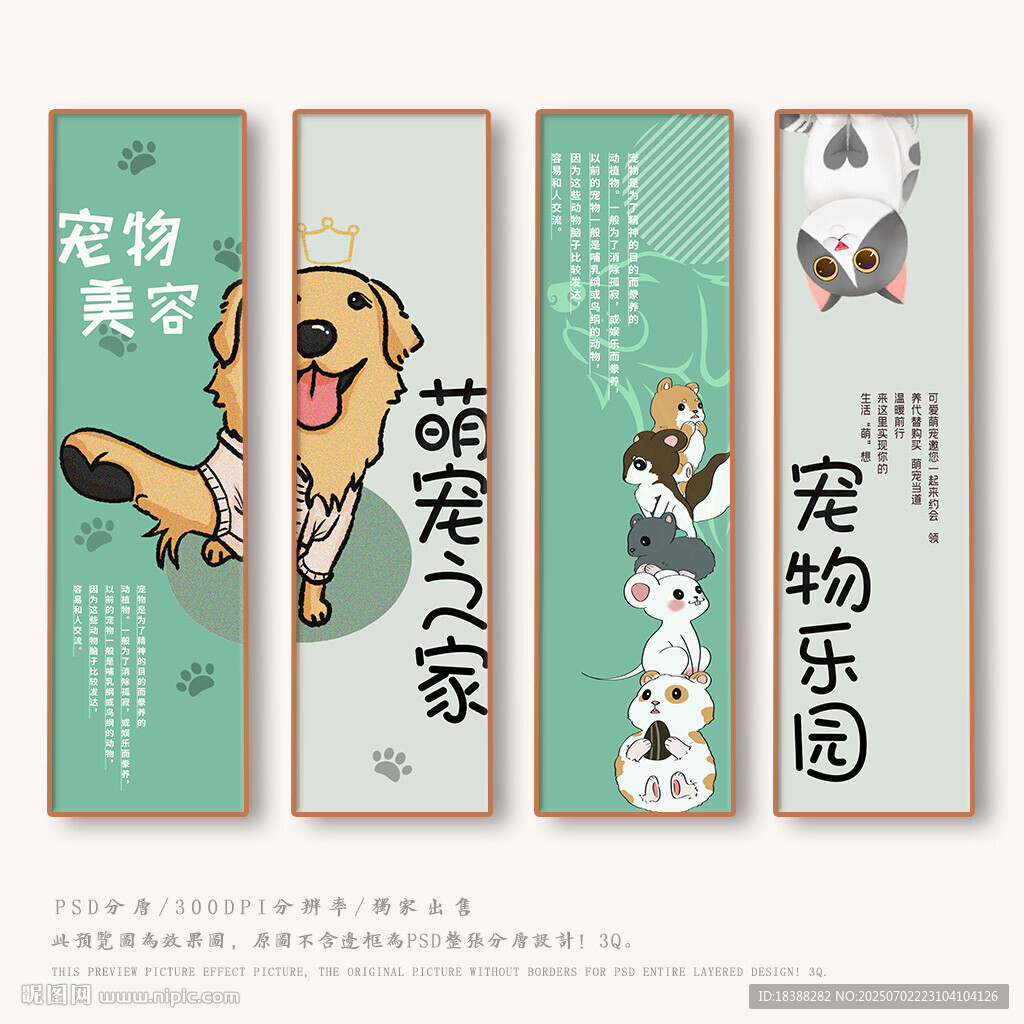 宠物
