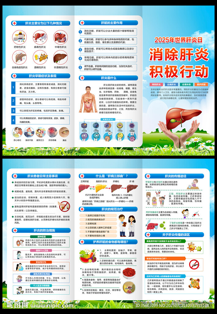 2025肝炎日三折页