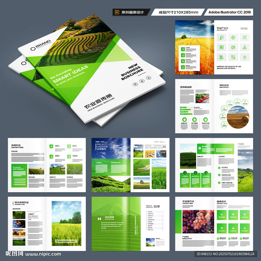 农产品宣传册