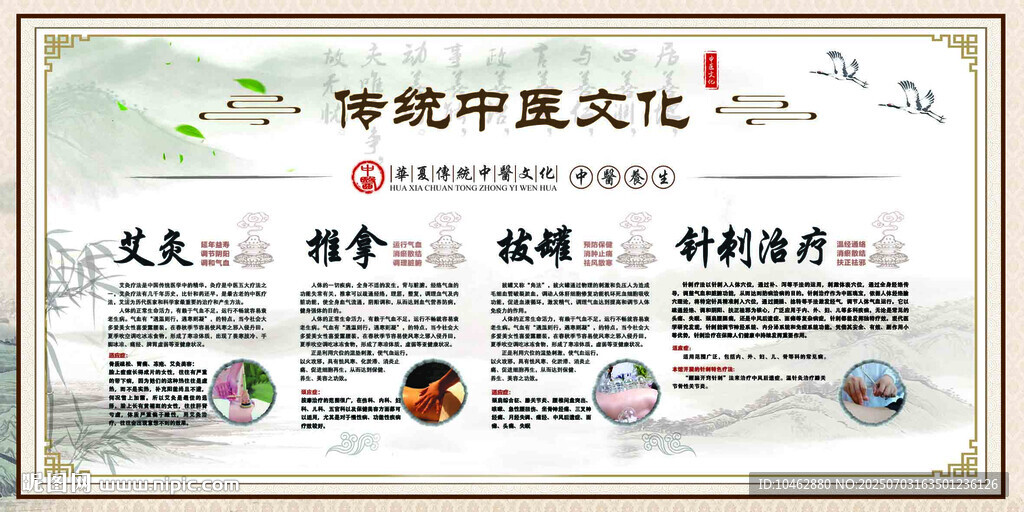 三伏天传统中医文化宣传海报
