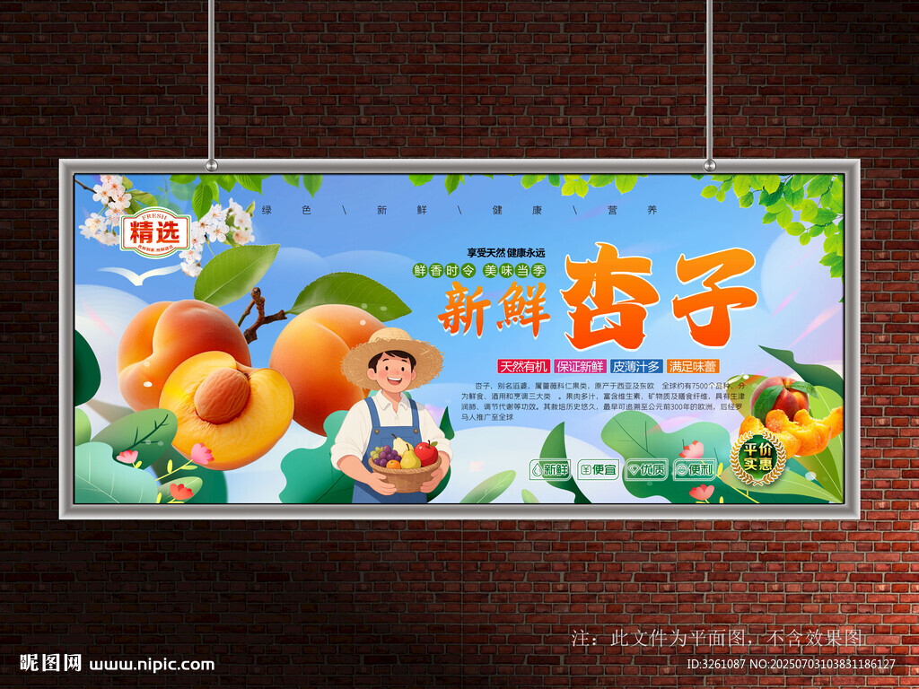 杏子展板