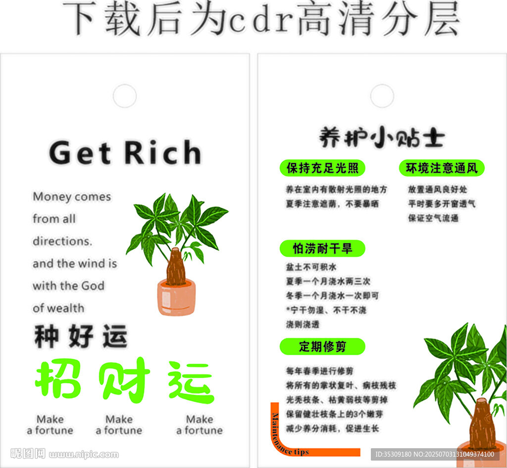 养护小贴士