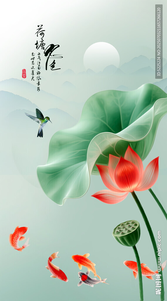 荷花插画