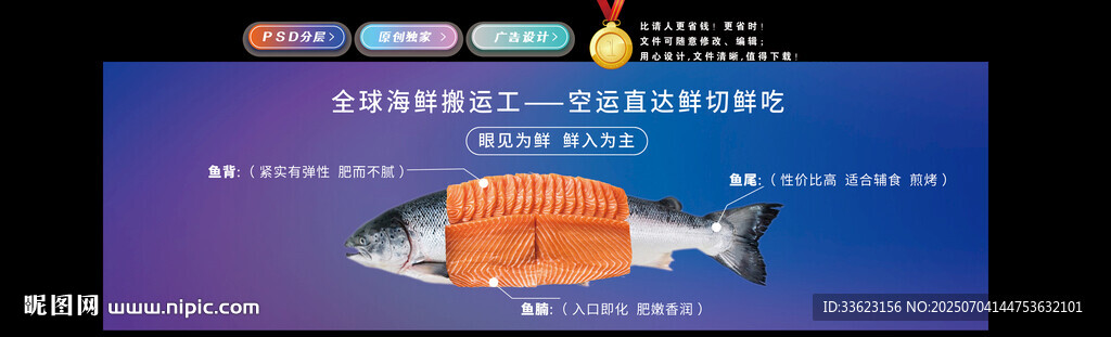 鱼类解剖展示图