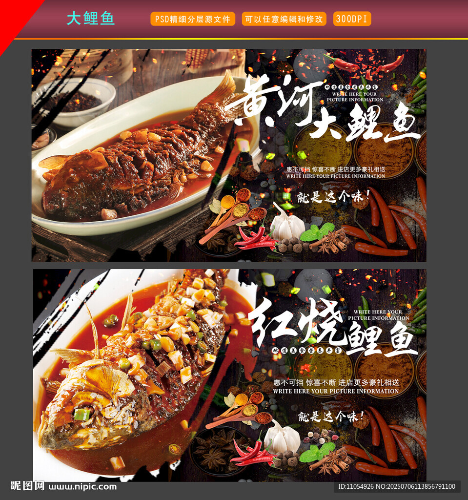 黄河大鲤鱼
