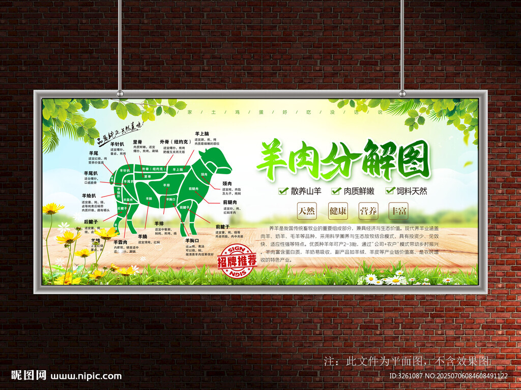 羊肉分解图