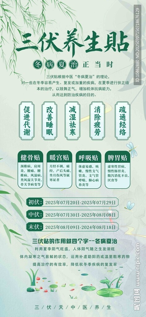 三伏养生贴产品海报