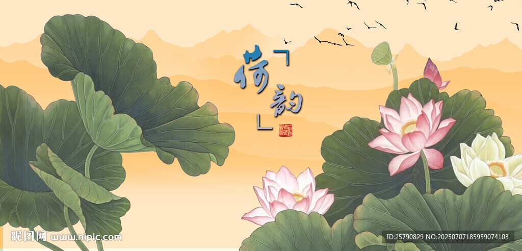 荷花国画荷花