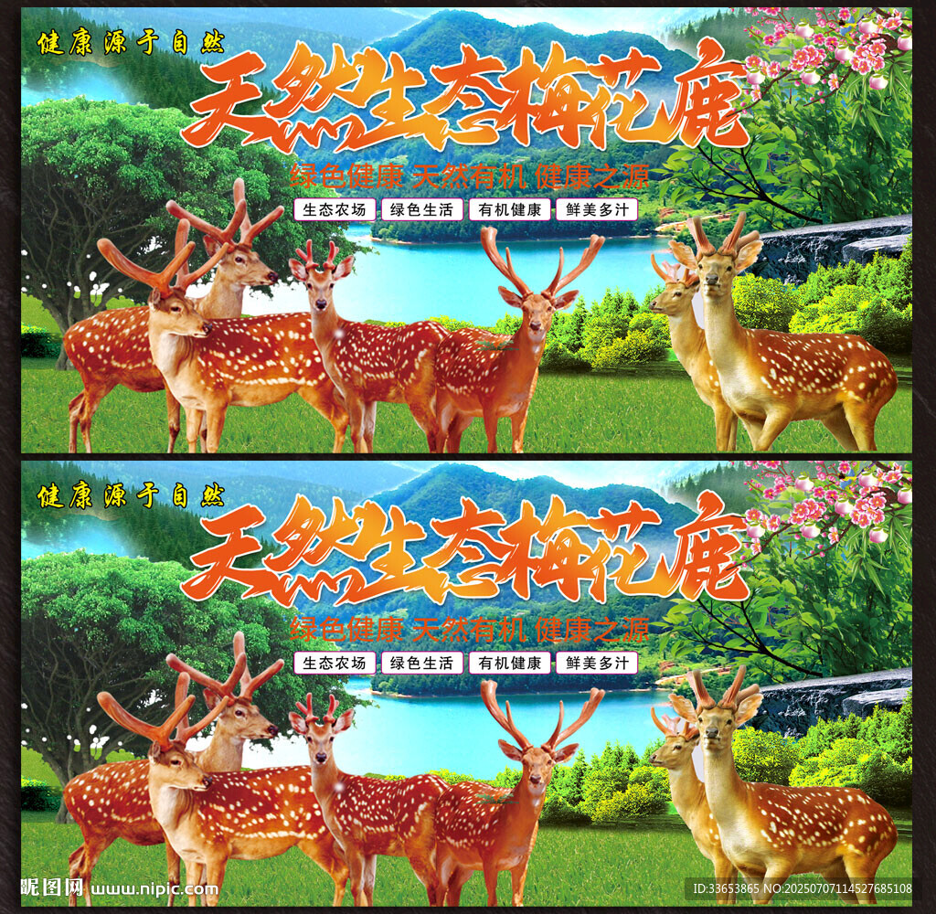 梅花鹿展板