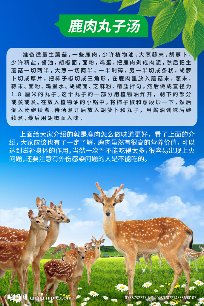 美味鹿肉汤