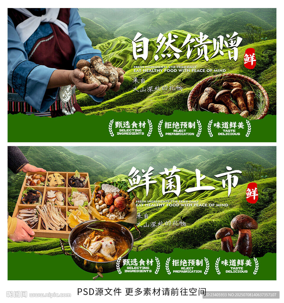 野生菌