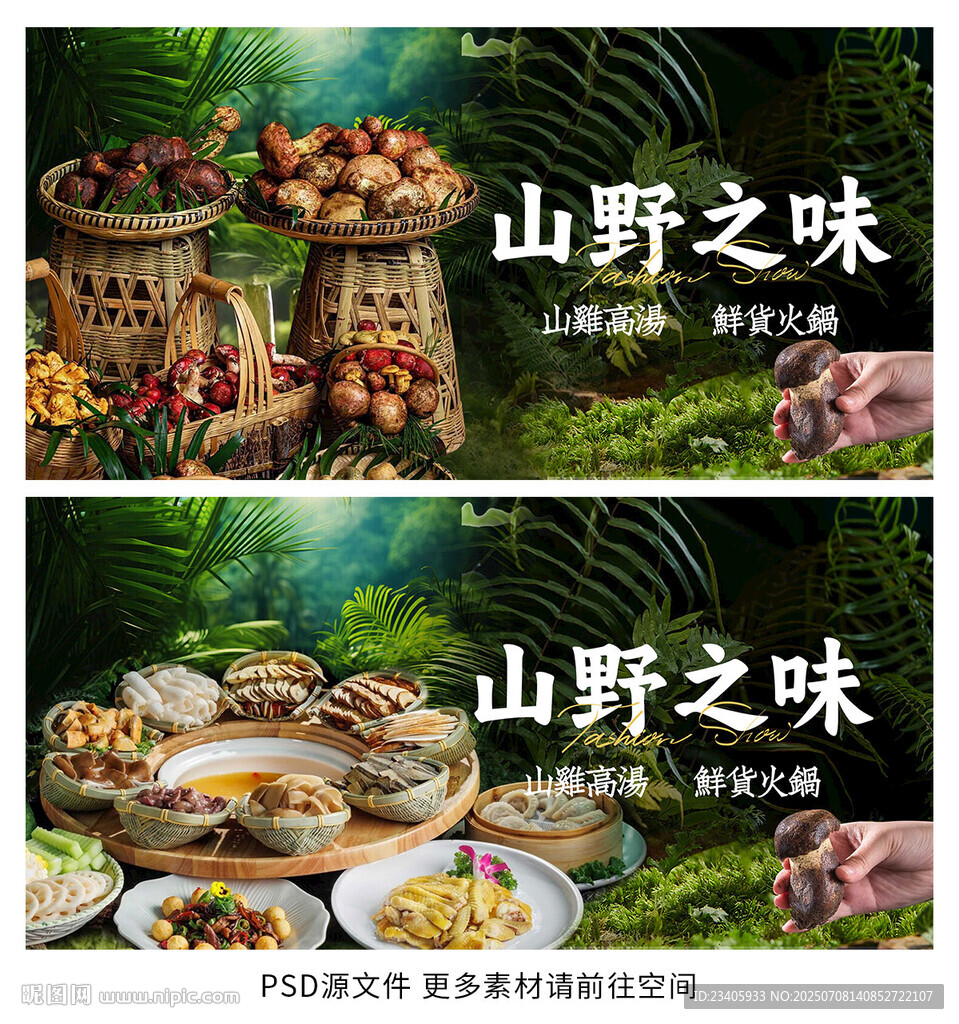 野生菌