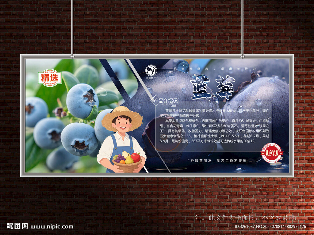 蓝莓展板