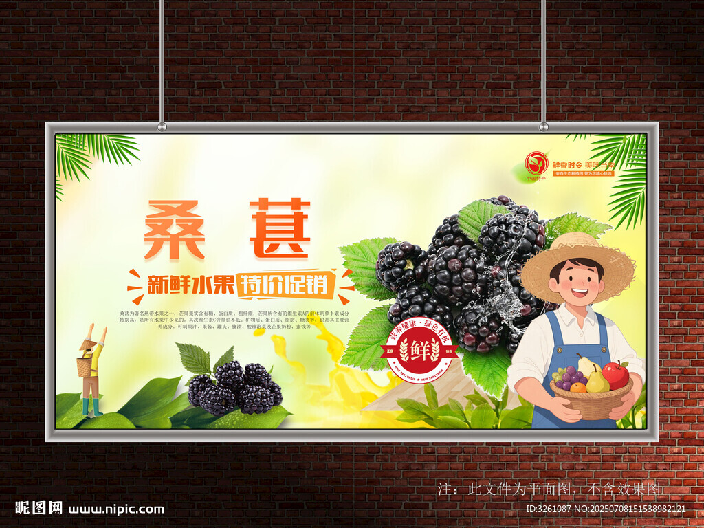桑椹