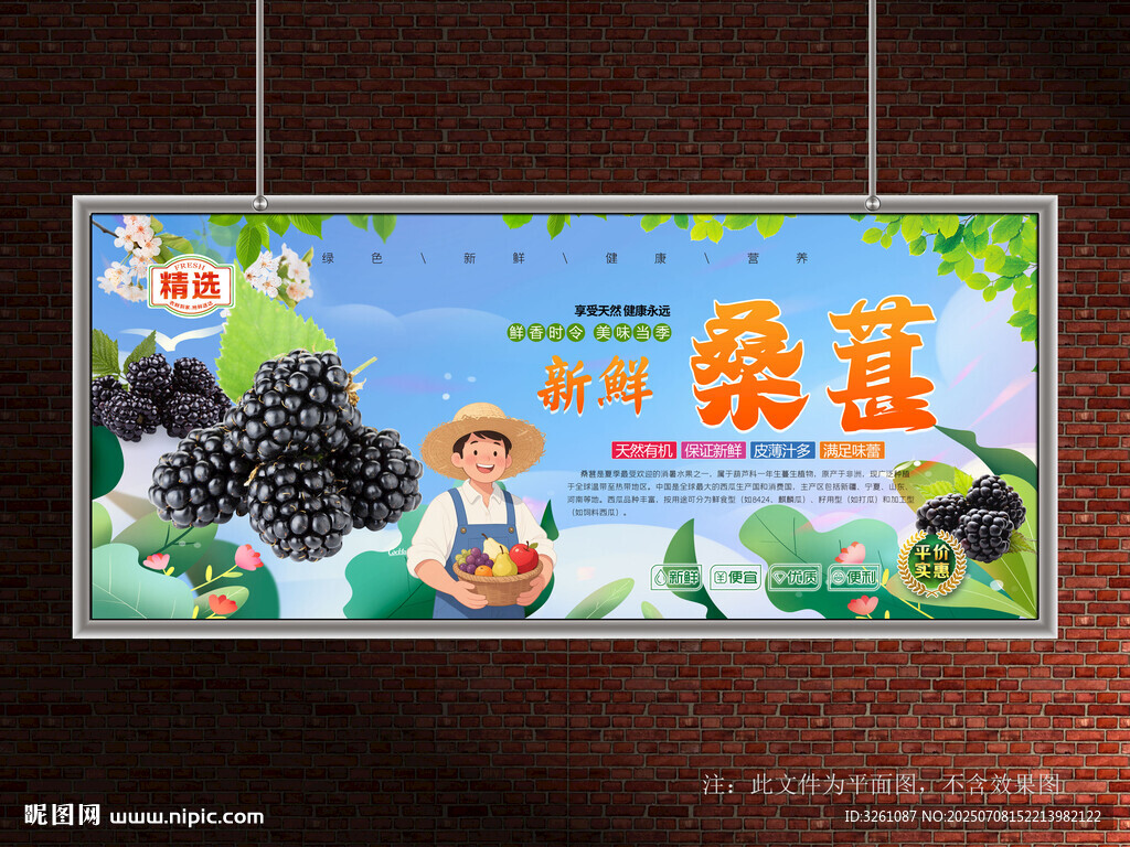 桑葚