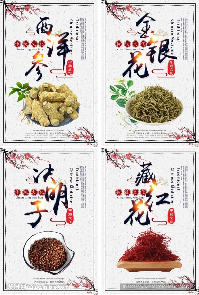 中国风中草药医疗传统展板