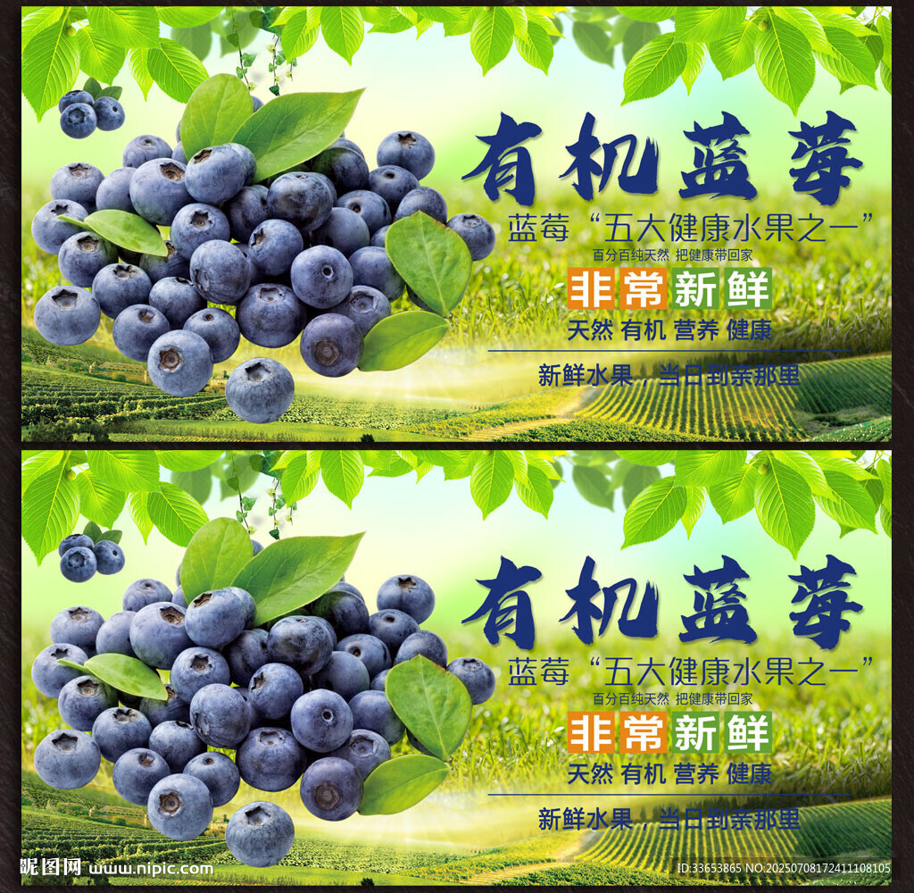 蓝莓
