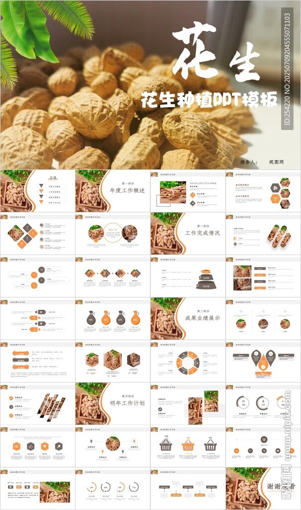 五谷杂粮花生介绍宣传PPT