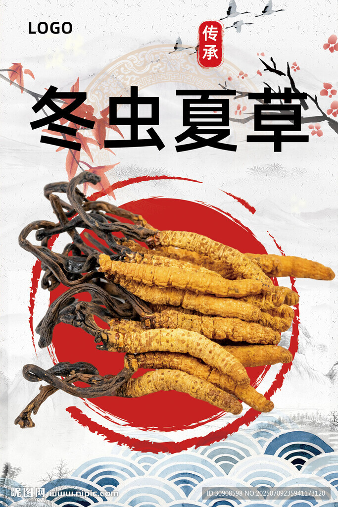 冬虫夏草