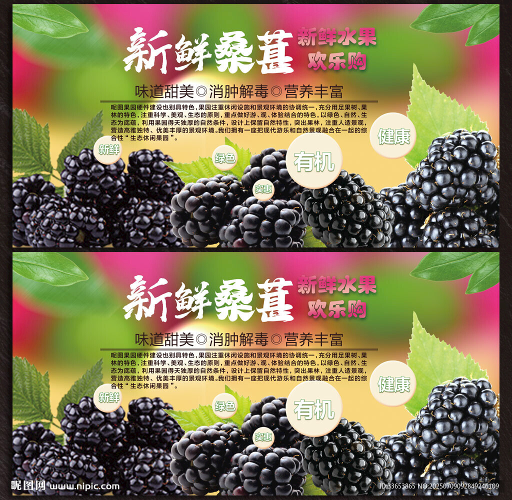 桑葚
