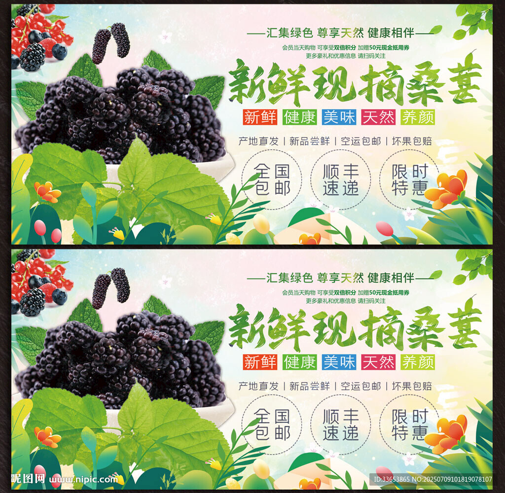 桑葚
