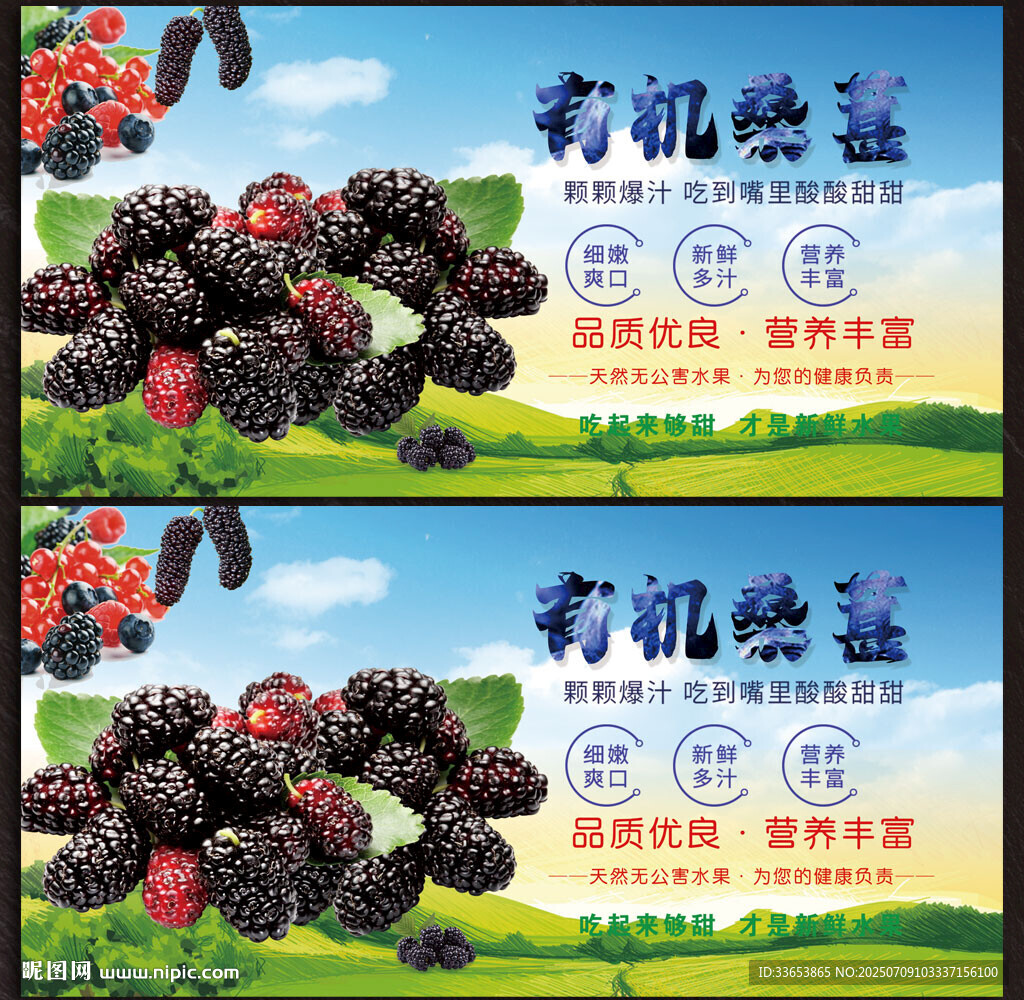 桑葚