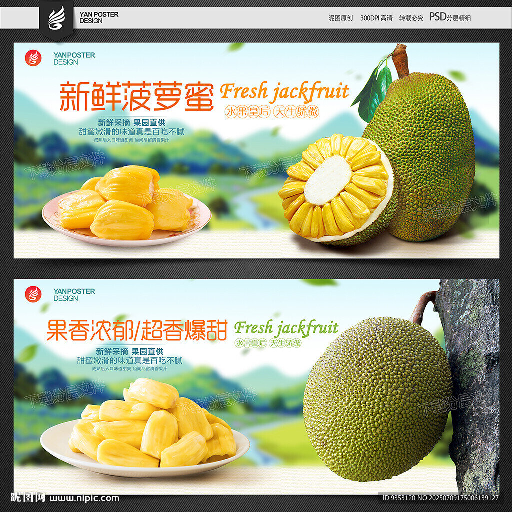 菠萝蜜