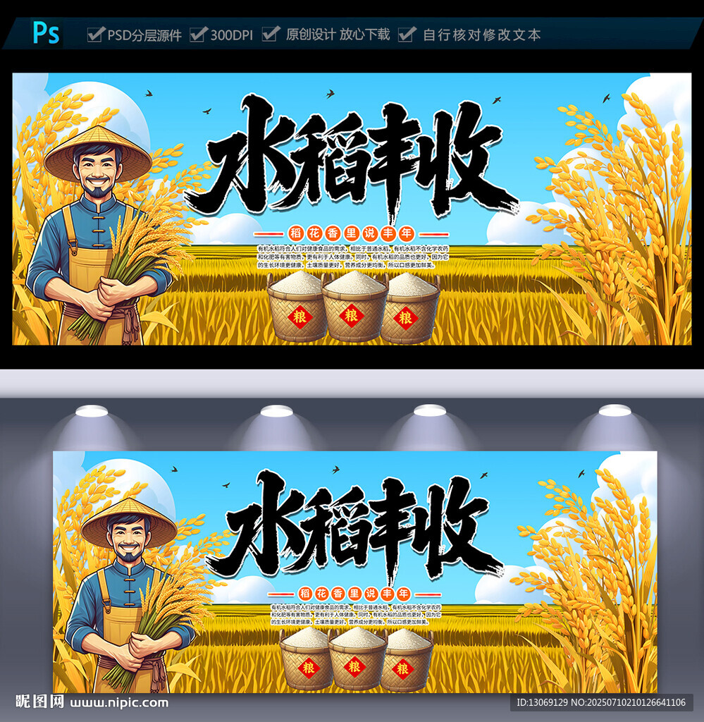 水稻丰收