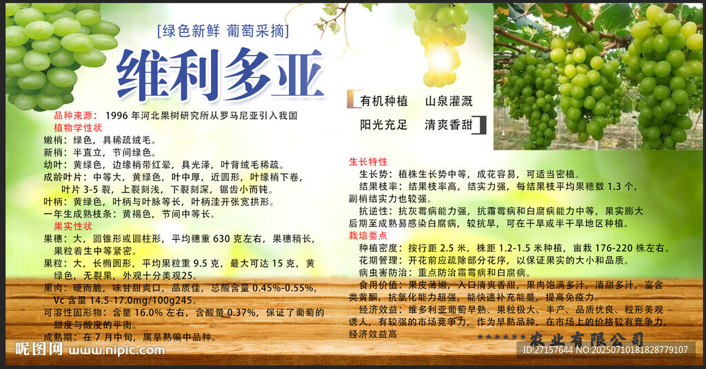 维利多亚产品宣传页