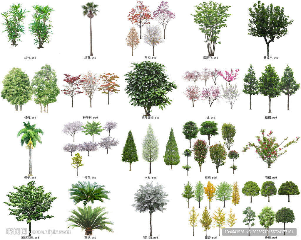 免扣高清景观树莲花植物花卉贴图