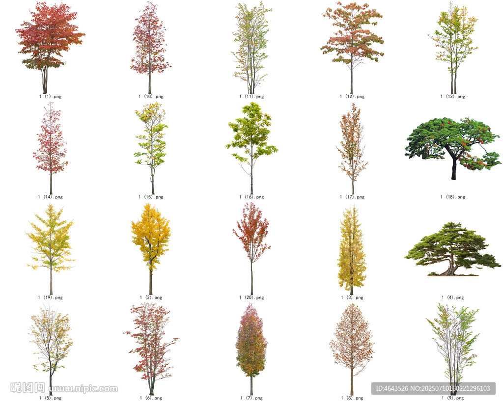 免扣高清景观树莲花植物花卉贴图