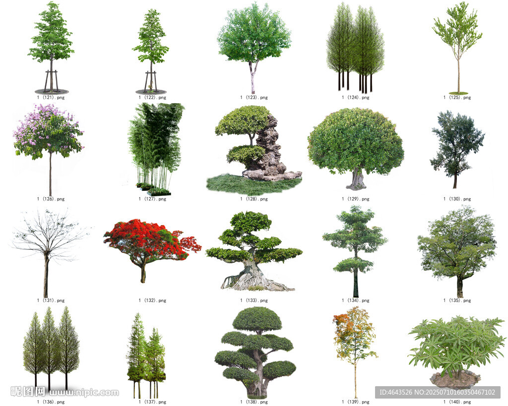 免扣高清景观树莲花植物花卉贴图