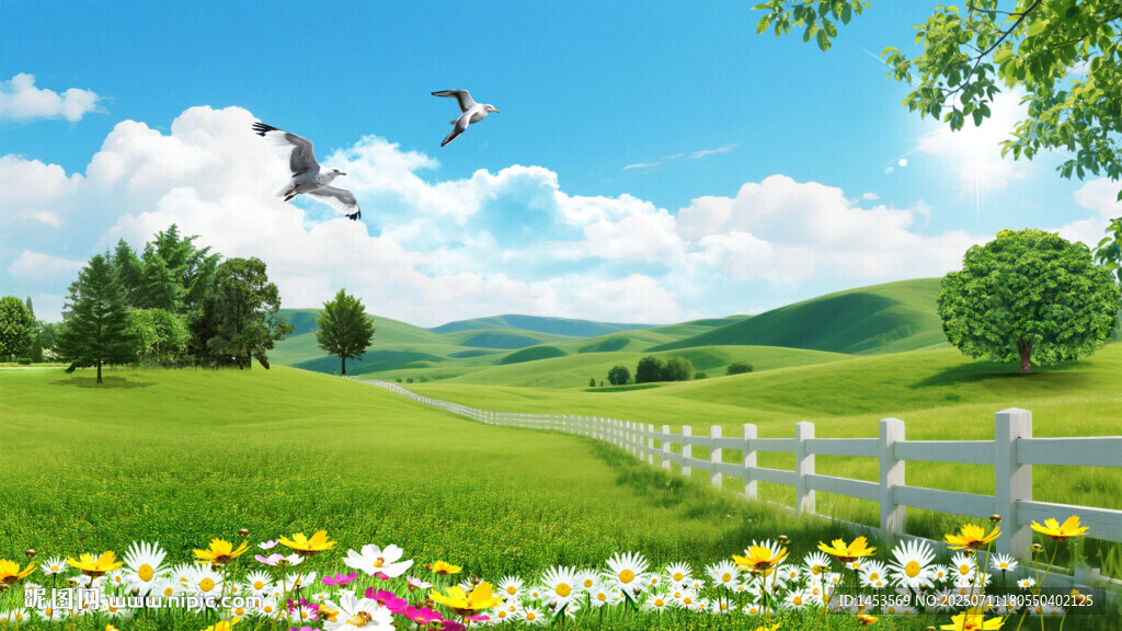 草原草地