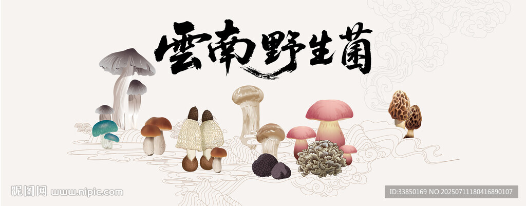 云南野生菌