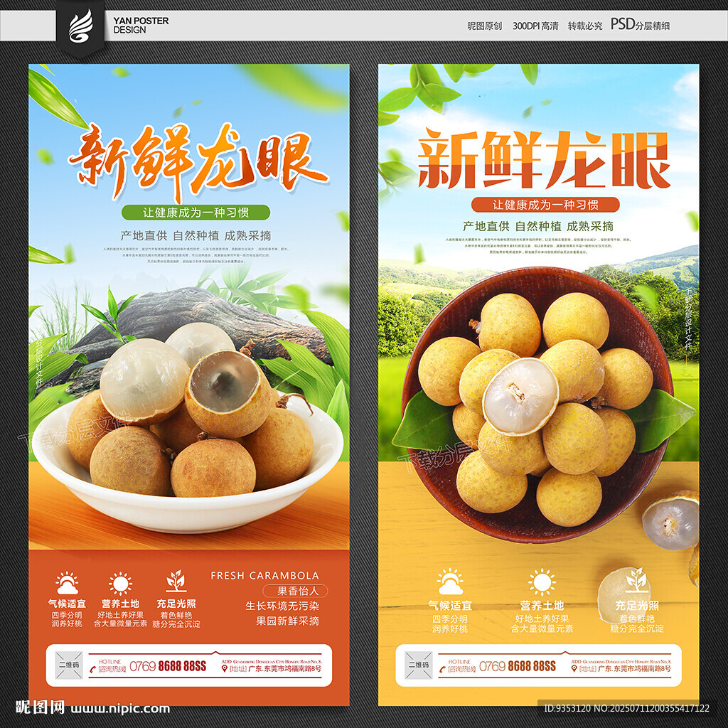 龙眼海报