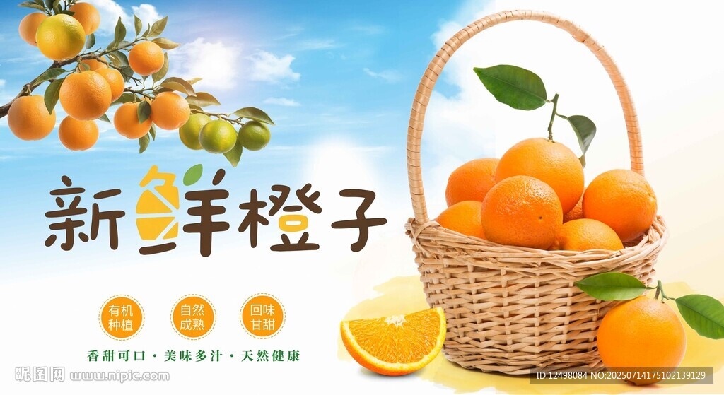 柳橙