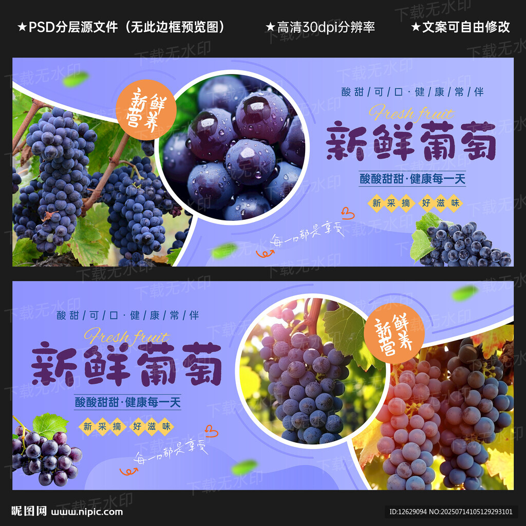 葡萄海报