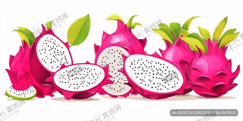 火龙果插画 鲜艳诱人果实