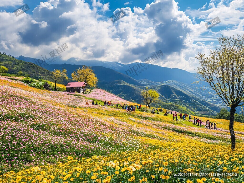山间花海美景引游人观赏