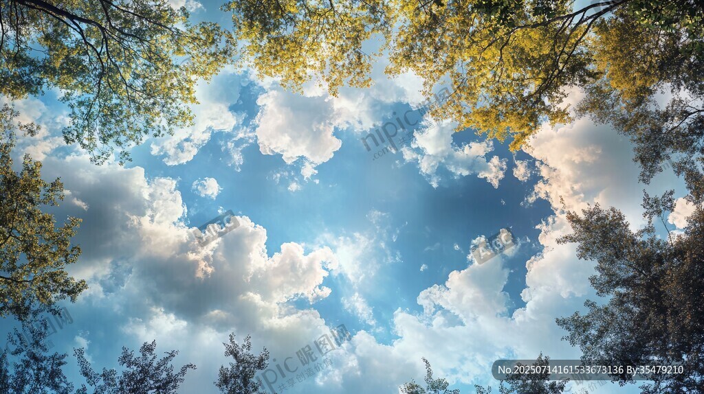 仰望蓝天绿树间的美景