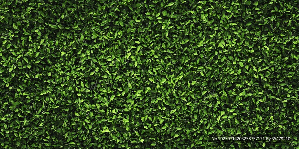 翠绿繁茂的植物背景纹理