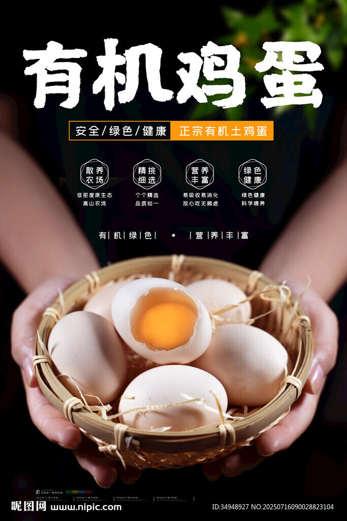 有机鸡蛋