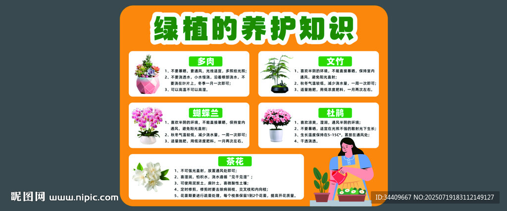 绿植店教