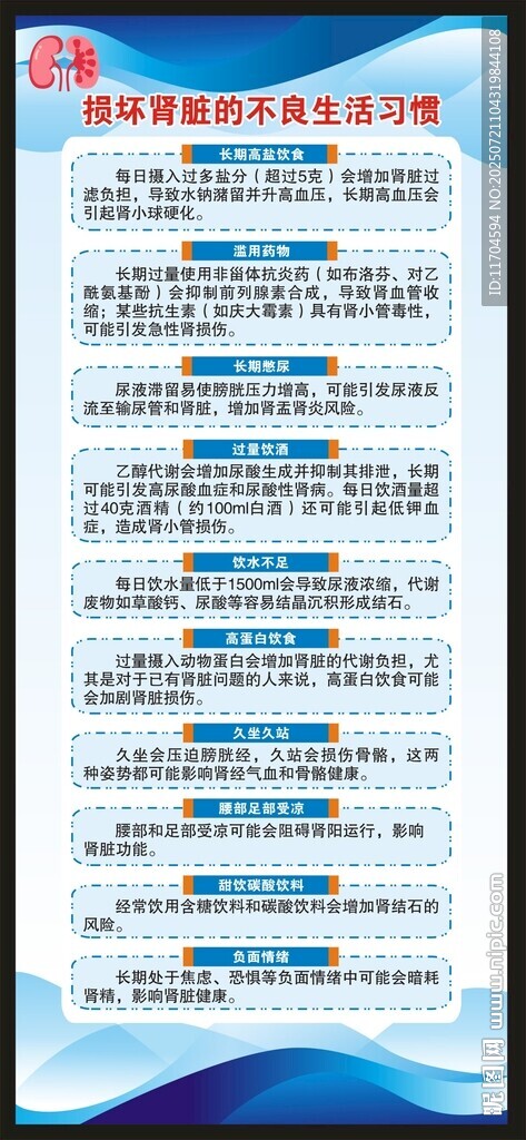 世界肾脏日展架