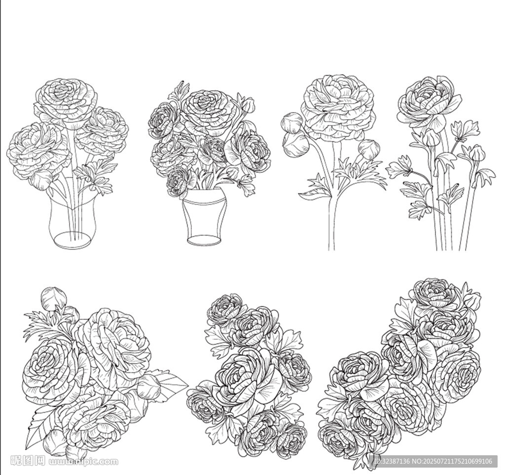手绘花卉插画集合