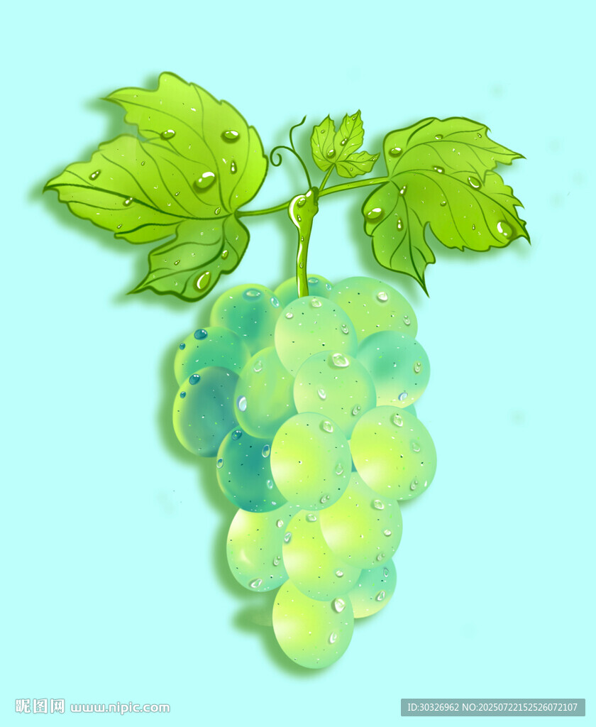 手绘葡萄 清新葡萄 葡萄插画